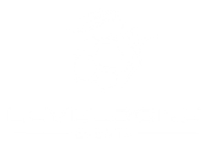 Sigorta Sektör Ligi bir Leveldone Events Ltd. Şti. organizasyonudur.